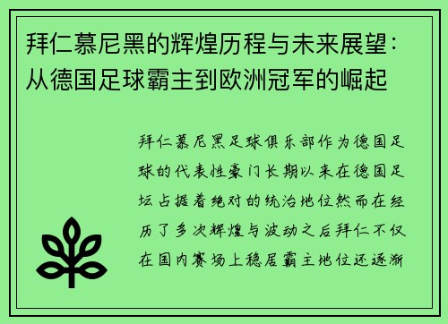 拜仁慕尼黑的辉煌历程与未来展望：从德国足球霸主到欧洲冠军的崛起