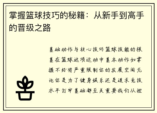 掌握篮球技巧的秘籍：从新手到高手的晋级之路