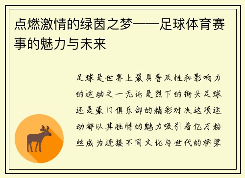 点燃激情的绿茵之梦——足球体育赛事的魅力与未来