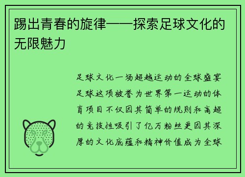 踢出青春的旋律——探索足球文化的无限魅力